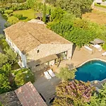 Cicadis - Golfe De Saint-tropez