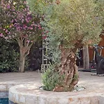 Cicadis - Golfe De Saint-tropez Villa