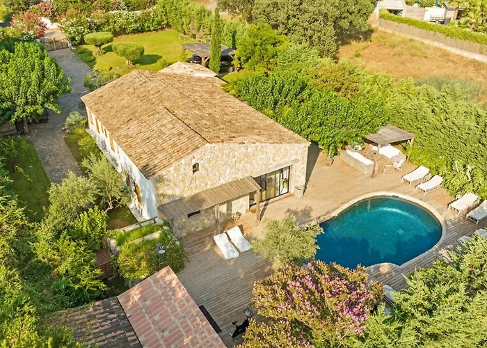 Cicadis - Golfe De Saint-tropez